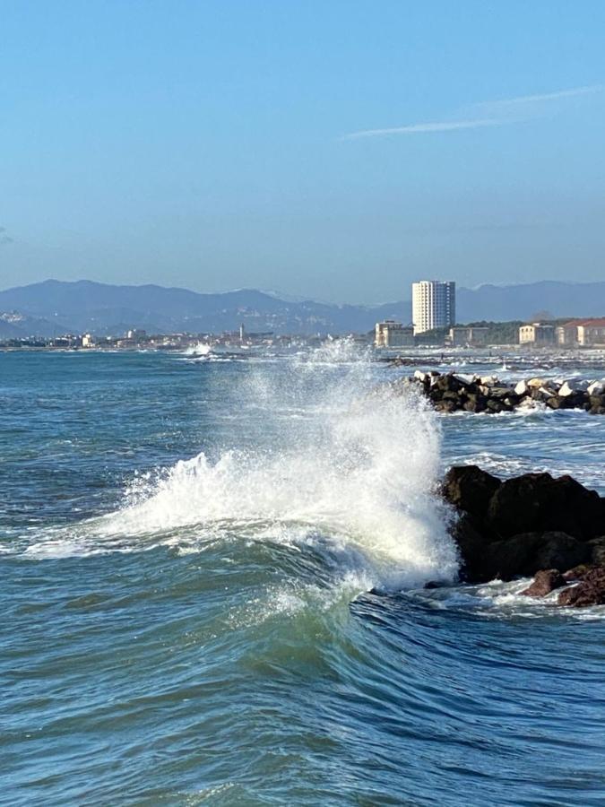 Ancora Bilocale Villa Marina di Massa Bagian luar foto