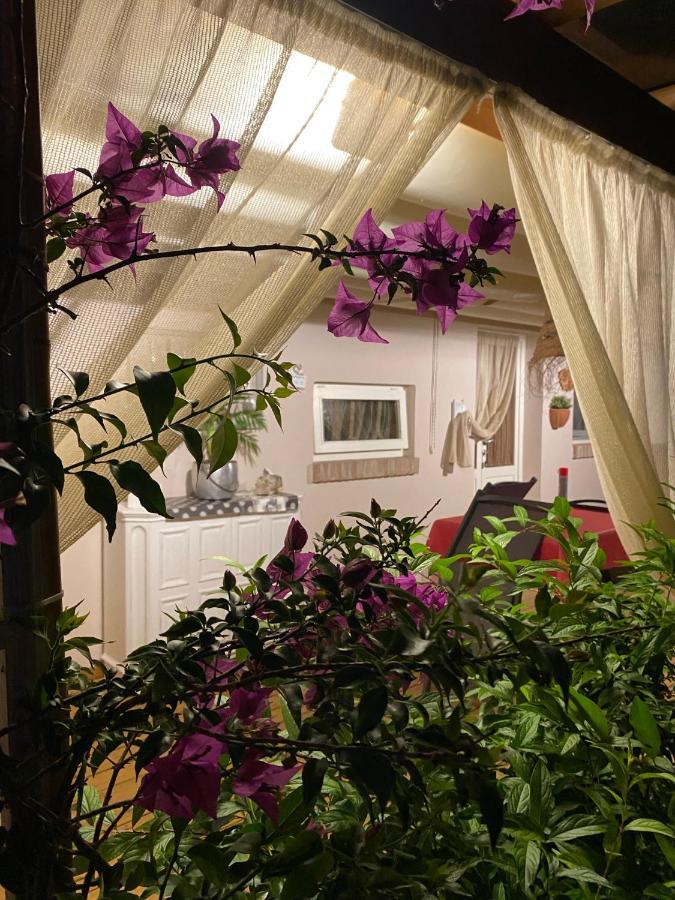 Ancora Bilocale Villa Marina di Massa Bagian luar foto