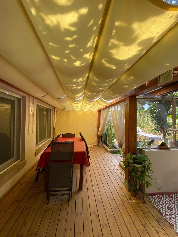 Ancora Bilocale Villa Marina di Massa Bagian luar foto