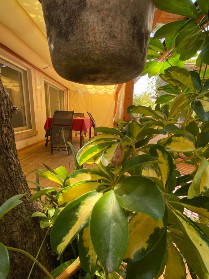 Ancora Bilocale Villa Marina di Massa Bagian luar foto