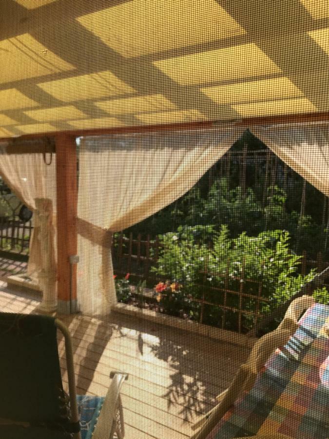 Ancora Bilocale Villa Marina di Massa Bagian luar foto