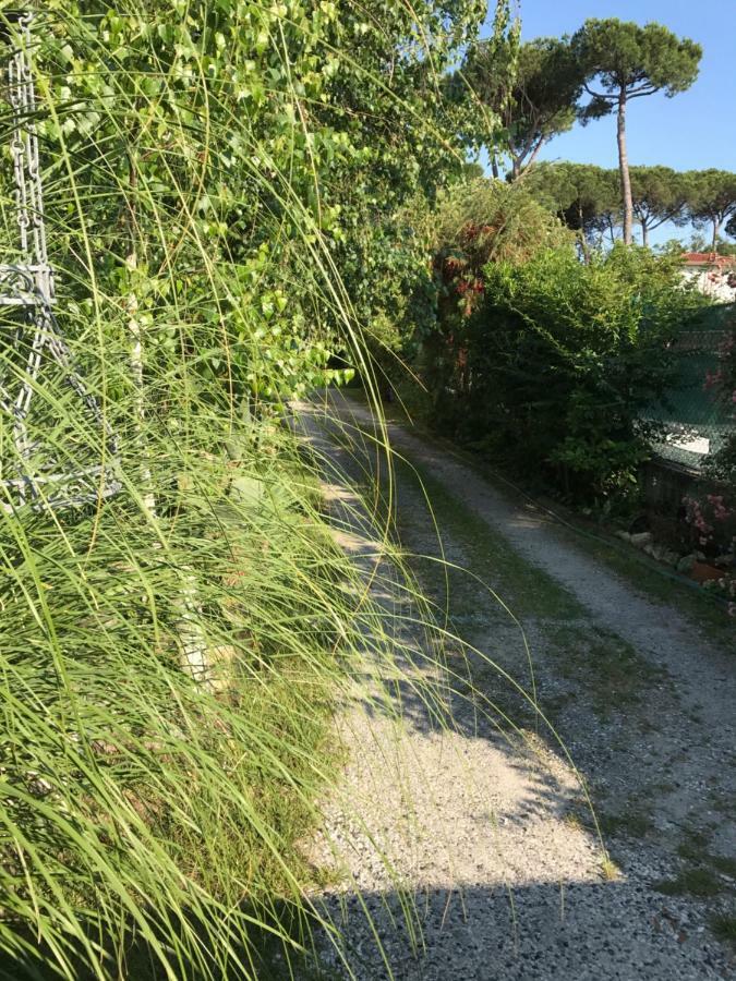 Ancora Bilocale Villa Marina di Massa Bagian luar foto