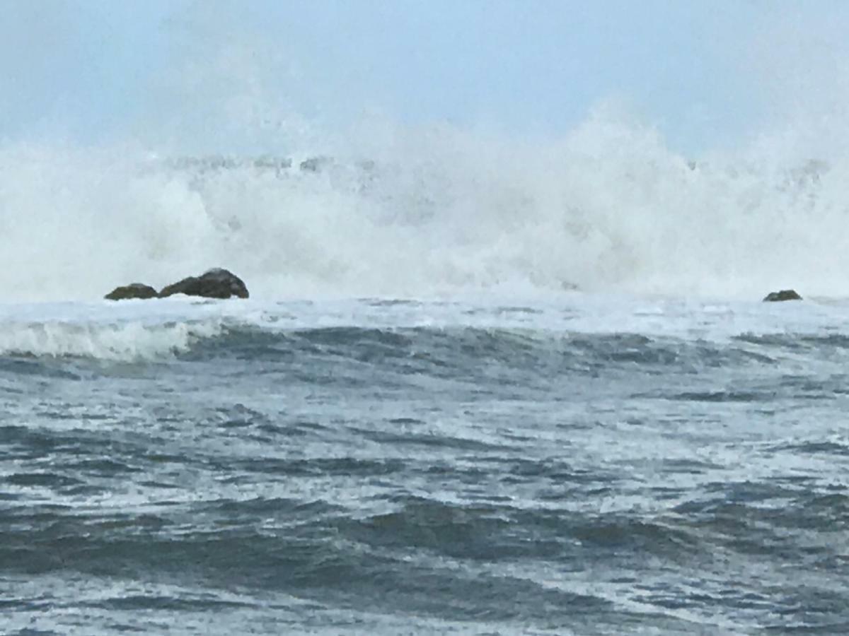 Ancora Bilocale Villa Marina di Massa Bagian luar foto