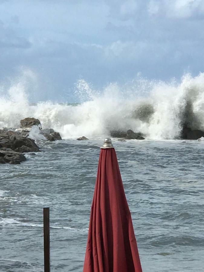 Ancora Bilocale Villa Marina di Massa Bagian luar foto