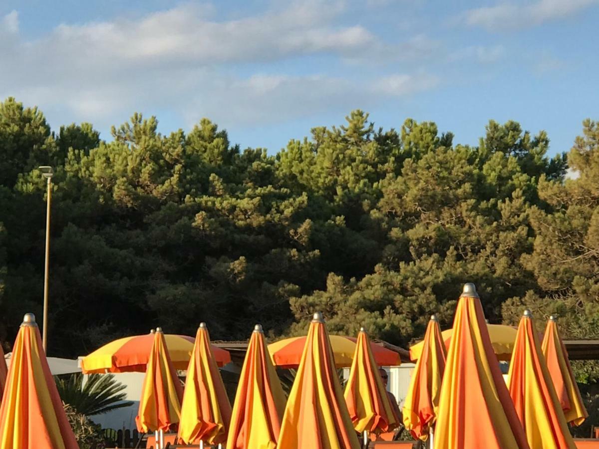 Ancora Bilocale Villa Marina di Massa Bagian luar foto